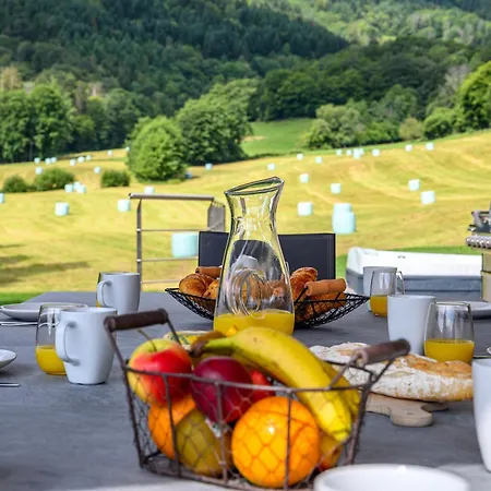Villa Neuf 10 Personnes, Piscine Et Bitschwiller-lès-Thann