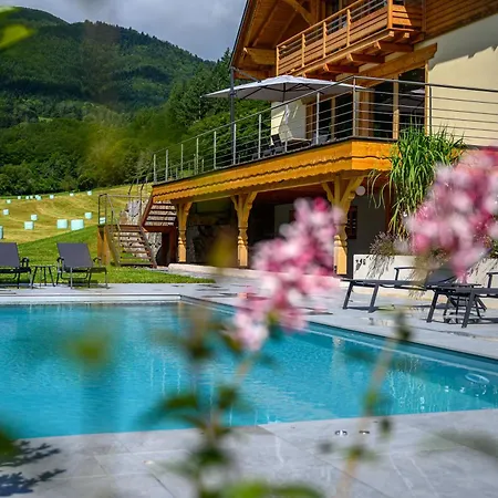 Neuf 10 Personnes, Piscine Et Villa